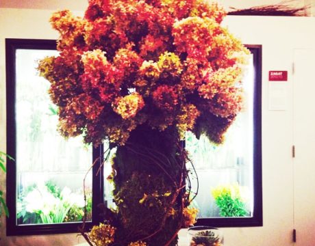 Gramercy Flower