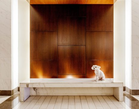 Pet Friendly Building